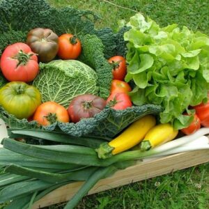 Panier de légumes (grands)